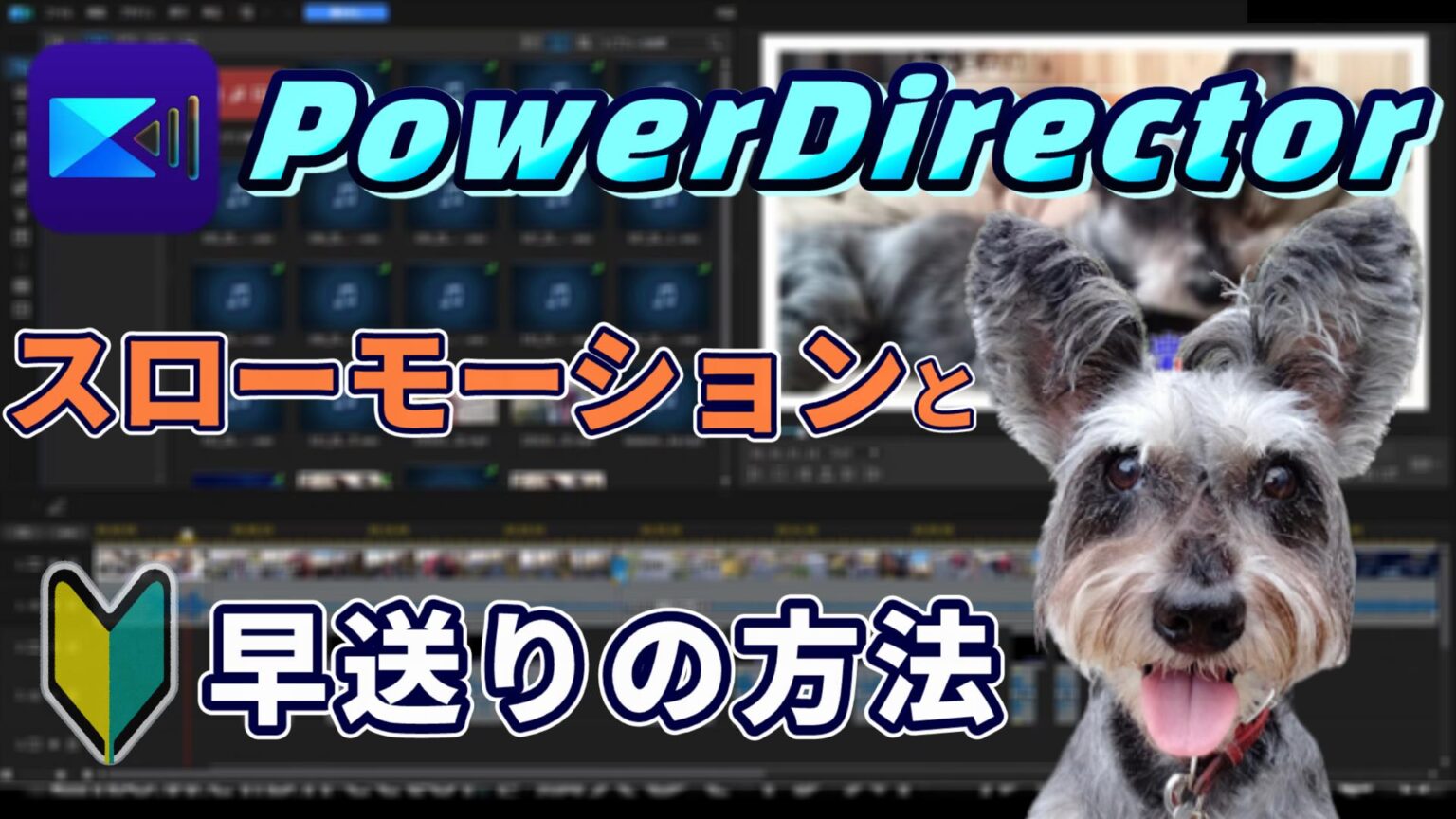 PowerDirectorでスローモーションと早送りの編集方法を解説 【初心者向け】 | 楽ちんブログ